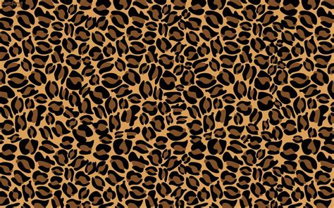 cheetah print wallpaper laptop